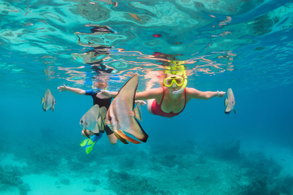 snorkeling in Puerto Vallarta 2021