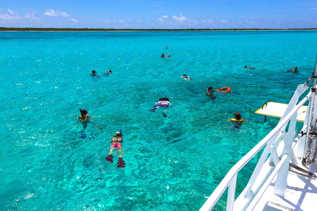 Group of friends snorkeling together