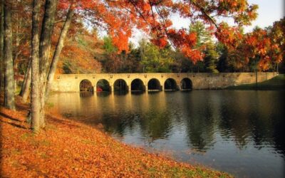 Vacancy Rewards Reviews Guide to Crossville Tennessee